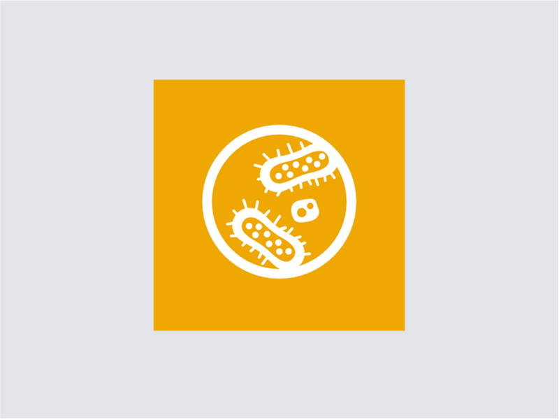 Biological process engineering